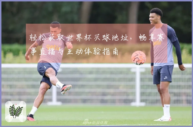 轻松获取世界杯买球地址，畅享赛事直播与互动体验指南