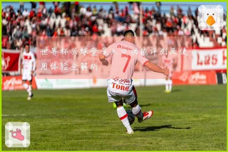 世界杯买球登录入口功能评测及使用体验全解析