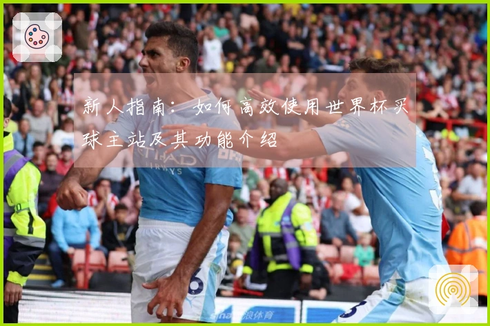 新人指南：如何高效使用世界杯买球主站及其功能介绍