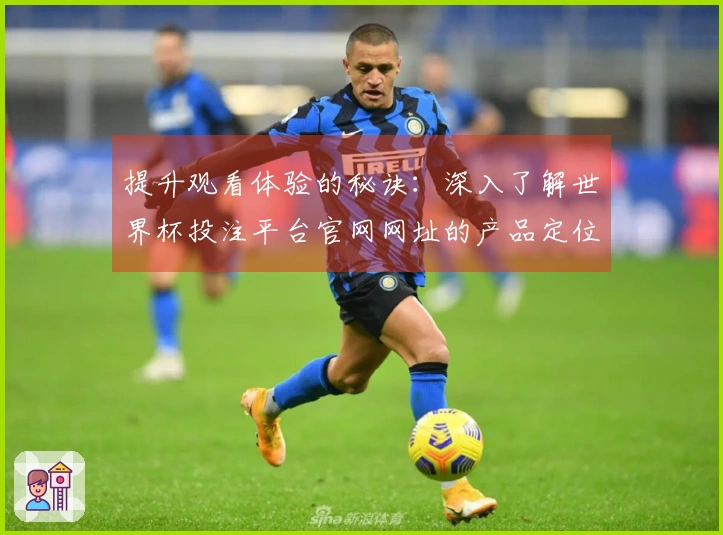 提升观看体验的秘诀：深入了解世界杯投注平台官网网址的产品定位与功能设置