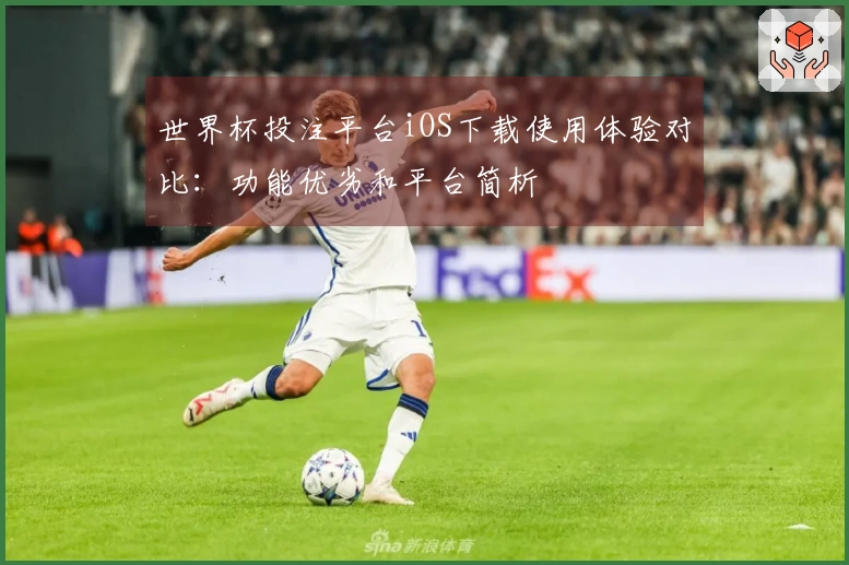 世界杯投注平台iOS下载使用体验对比：功能优劣和平台简析