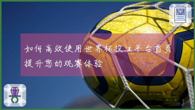 如何高效使用世界杯投注平台首页提升您的观赛体验