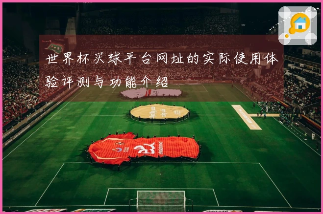 世界杯买球平台网址的实际使用体验评测与功能介绍