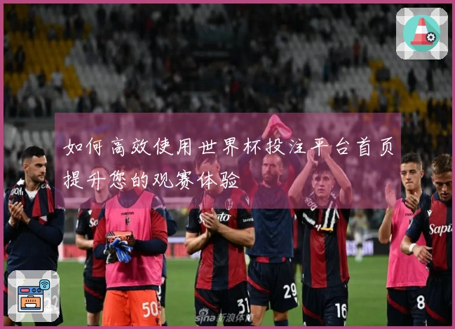 如何高效使用世界杯投注平台首页提升您的观赛体验